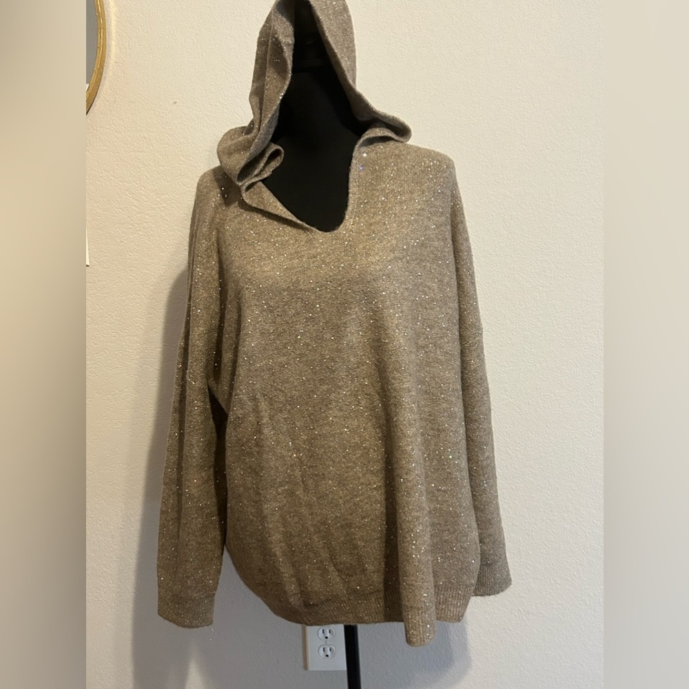 Women’s plus khaki glittery sweater